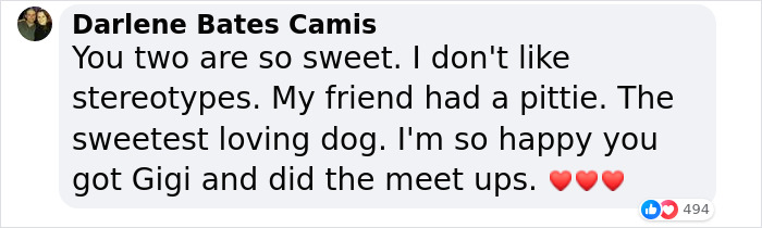 Pit Bull Overjoyed When She Finally Has Friends To Play With After Being Avoided By Other Dogs