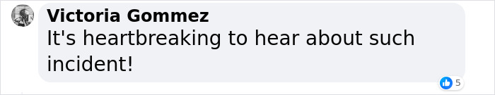 Tragic Amish Buggy Crash: Twins Swap Identities, Face Complex Charges