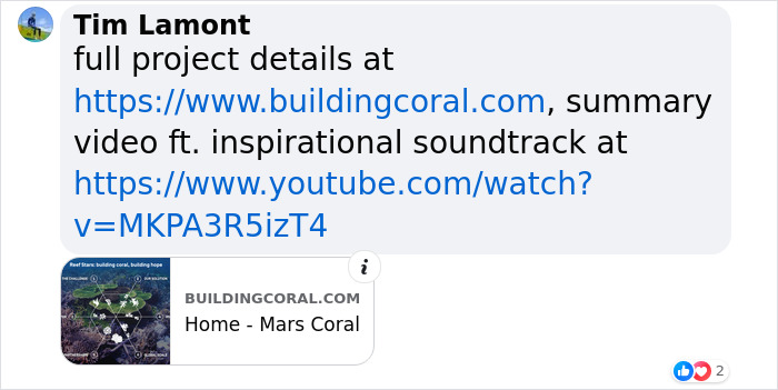 Full Recovery For A Lifeless Coral Reef Within 4 Years, Study Finds Full Recovery For A Lifeless Coral Reef Within 4 Years, Study Finds