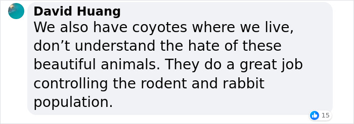 &ldquo;Dog&rdquo; Napping On Porch With Toys Turned Out To Be Not A Dog At All