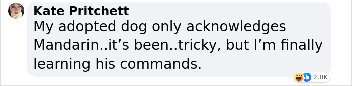 A Woman Discovers Hilarious Reason Why Her Newly Adopted Dog Kept Ignoring Her