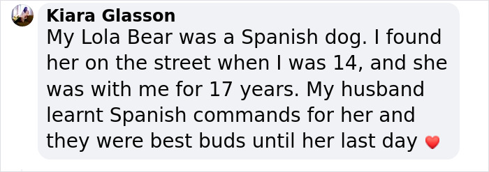 A Woman Discovers Hilarious Reason Why Her Newly Adopted Dog Kept Ignoring Her