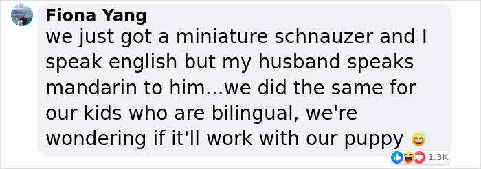 A Woman Discovers Hilarious Reason Why Her Newly Adopted Dog Kept Ignoring Her