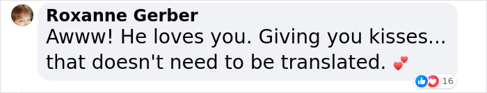 A Woman Discovers Hilarious Reason Why Her Newly Adopted Dog Kept Ignoring Her