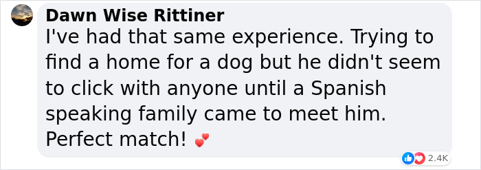 A Woman Discovers Hilarious Reason Why Her Newly Adopted Dog Kept Ignoring Her