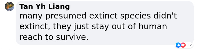Whale Thought To Have Gone Extinct In The Atlantic Spotted Again After 200 Years Of Absence
