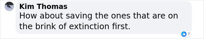 Texas Startup Plans To Resurrect The Woolly Mammoth, Among Other Extinct Species