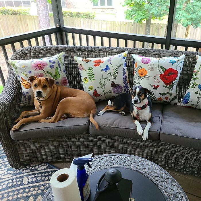 Bring The Blossoms Out: Pillow Covers By All Smiles For Patio Perfection!