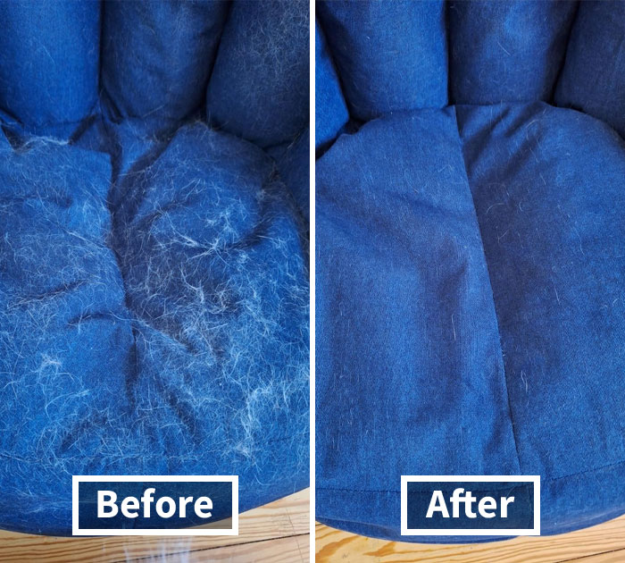 Ever Wish Pet Hair Was Only A Thing In Nightmares? Get Chom Chom Roller. Be A Pet Owner, Not A Lint Hoarder!