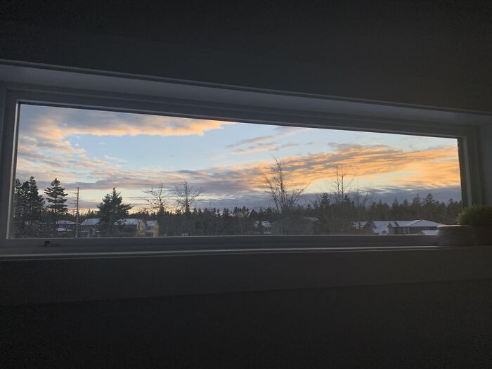 My Bathroom Window Looks Like A Painting