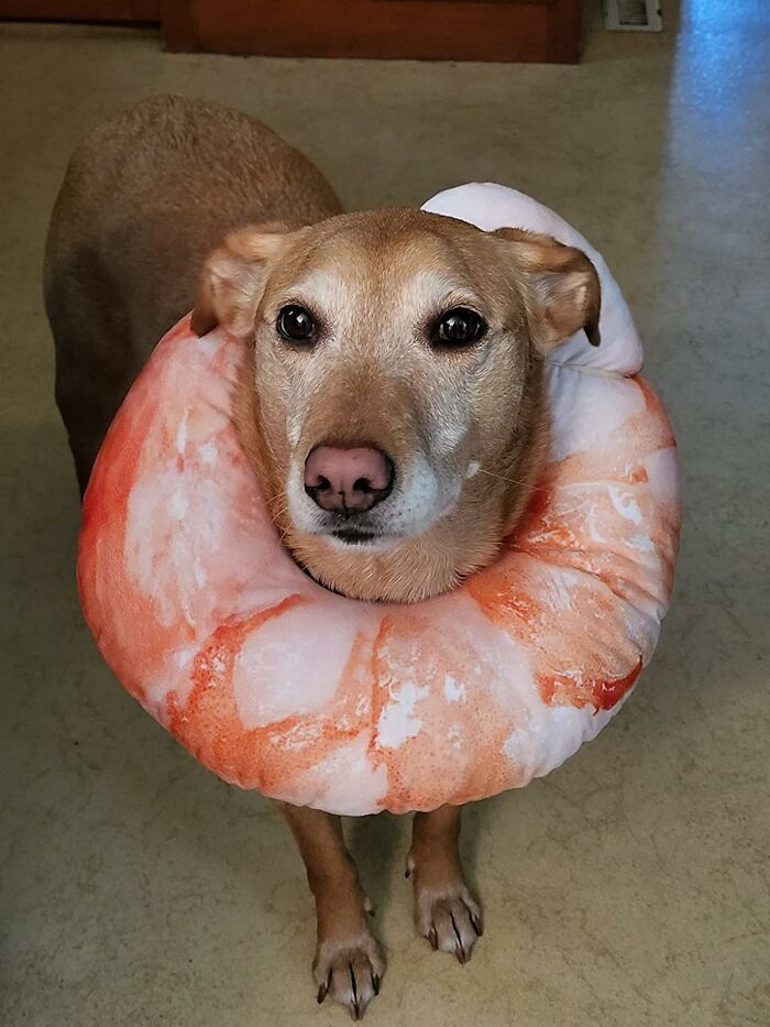 Get Comfy On The Go With The Shrimp Neck Pillow: Perfect For Travel And Lounging In Style