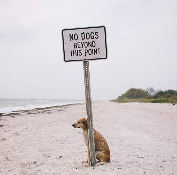 50 Signs That Are Poorly Placed, Badly Designed Or Simply Funny, Shared In This FB Group