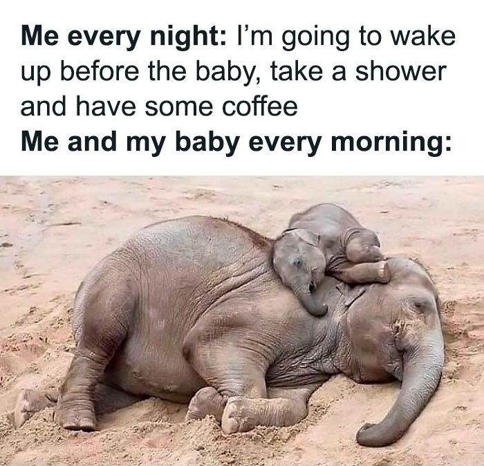 Intention vs. Reality