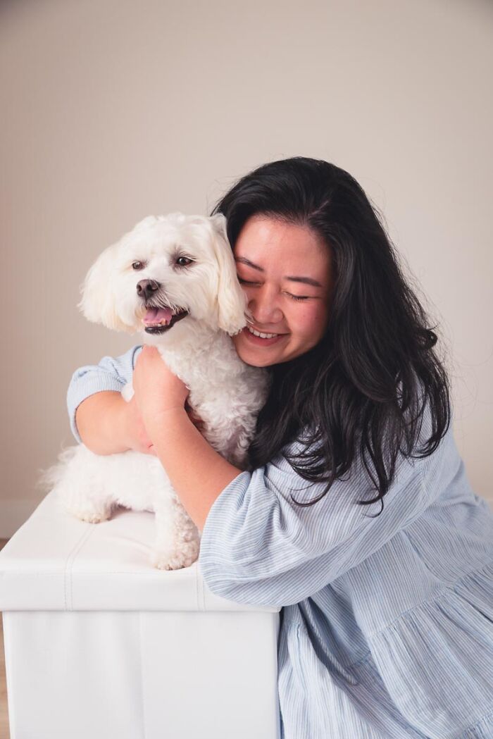 Rolo The Bichon Frise X Maltese Shihtzu Lights Up A Room With His Smile