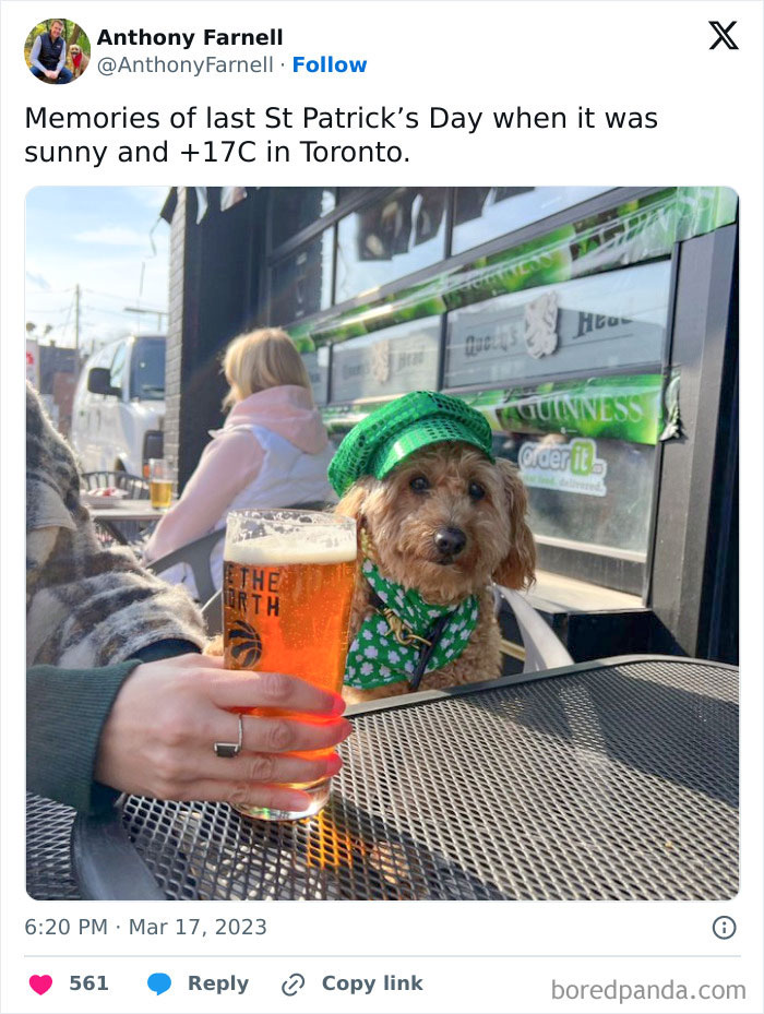 This Is An Adorable Outfit For The Dog