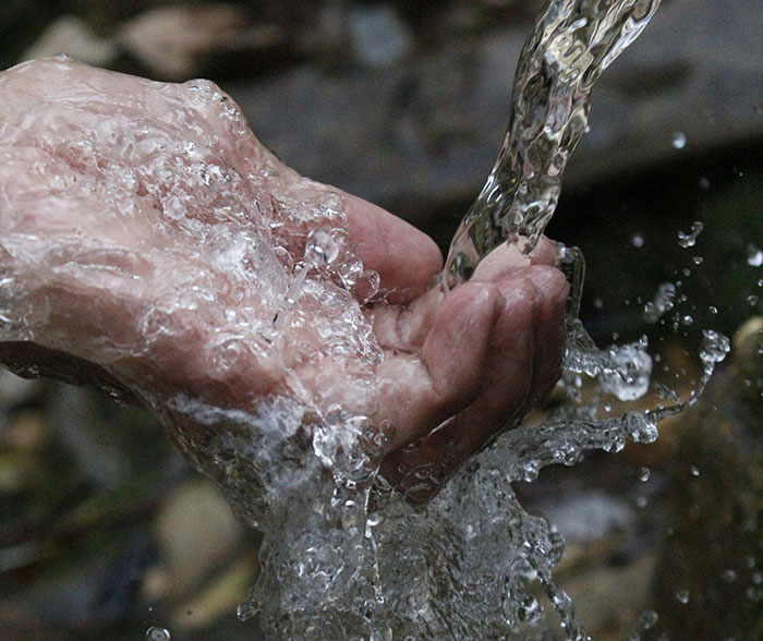 20 Datos científicos tan terroríficos que ojalá fueran mentira