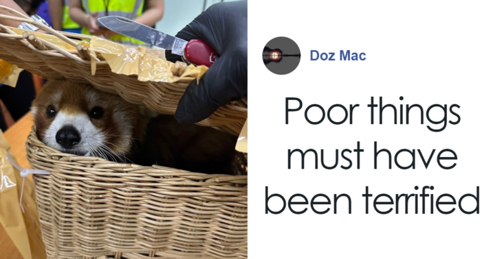 Six People Caught Trying To Smuggle 87 Animals In Major Wildlife Trafficking Bust