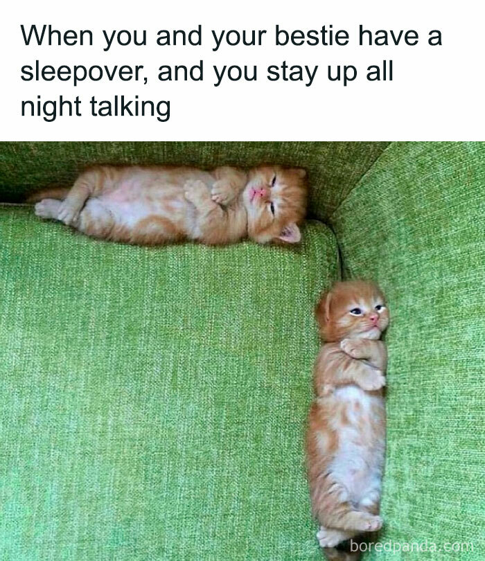 So-Relatable-Funny-Memes