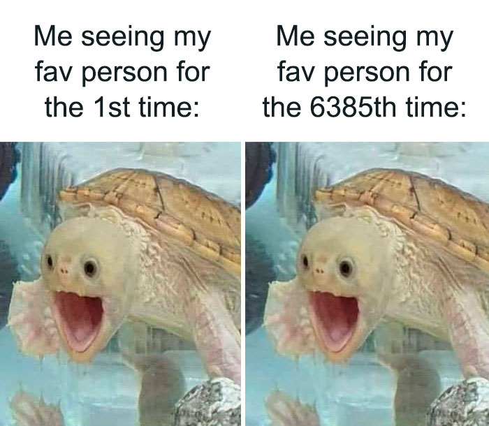 So-Relatable-Funny-Memes