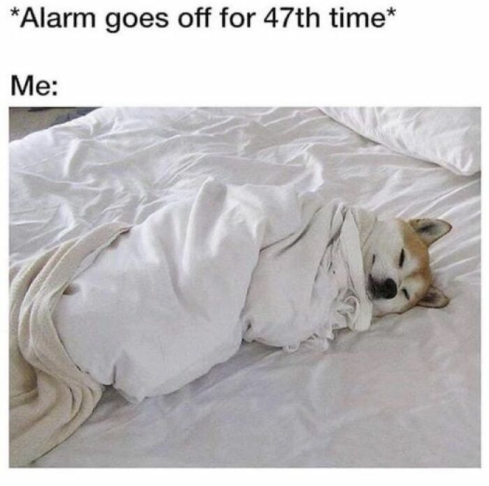 So-Relatable-Funny-Memes