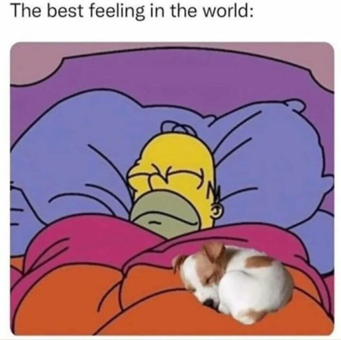 So-Relatable-Funny-Memes