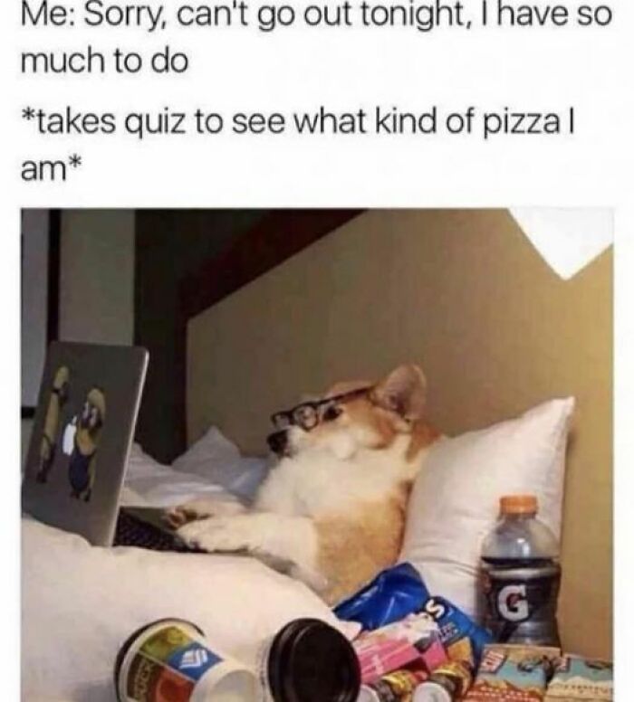 So-Relatable-Funny-Memes