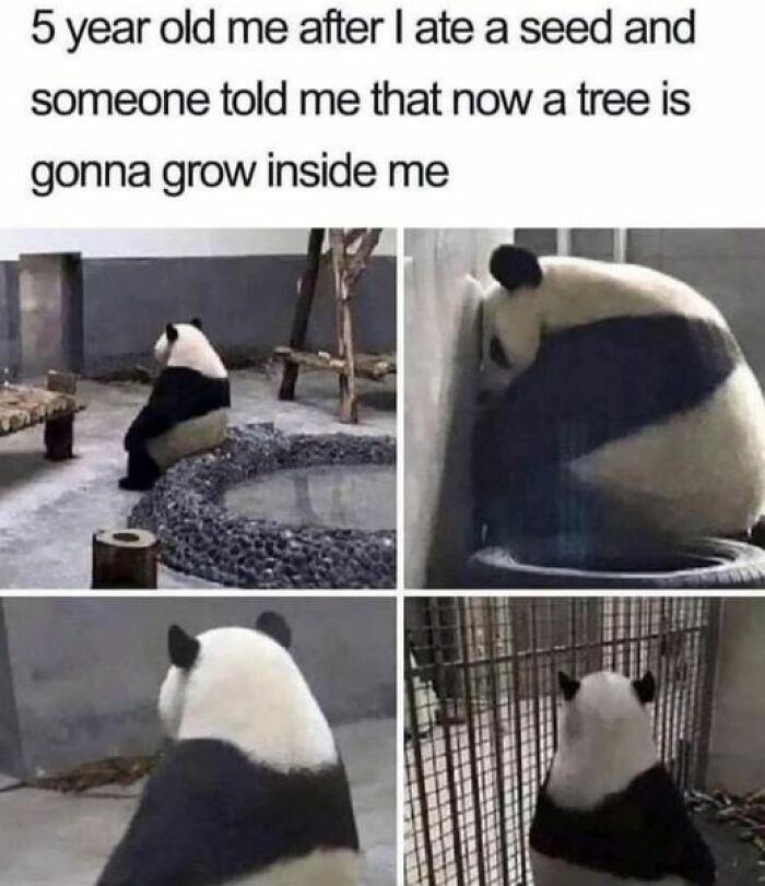 So-Relatable-Funny-Memes