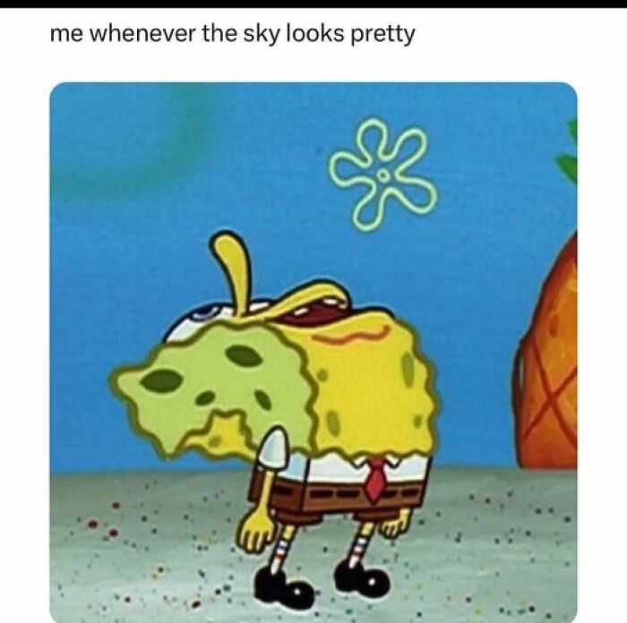 So-Relatable-Funny-Memes