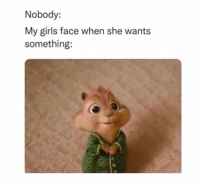 So-Relatable-Funny-Memes