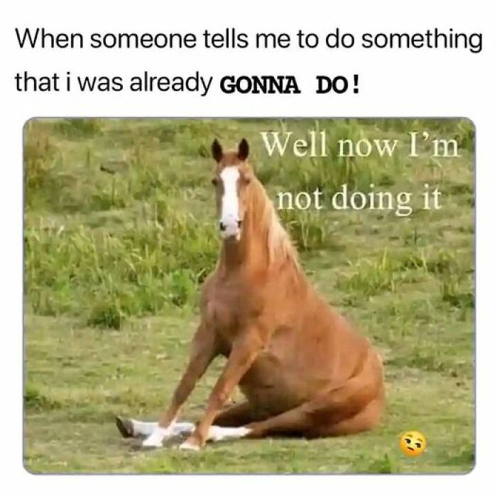 So-Relatable-Funny-Memes