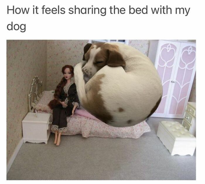 So-Relatable-Funny-Memes