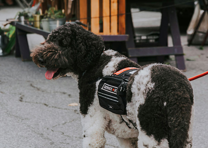 “Total Ignorance Of Science”: 40 Older Adults Point Out Weird Things That Are “Normal” Nowadays