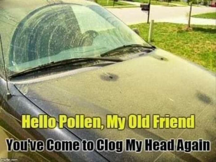 Car covered in pollen with meme text about spring allergies, embracing joys and flaws.