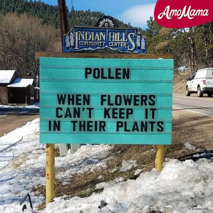 Funny spring meme on a community center sign: "Pollen, when flowers can't keep it in their plants," with snowy roadside.