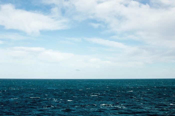 33 Of The Deepest Rabbit Holes People Ever Found Themselves Delving Into, As Shared Online 