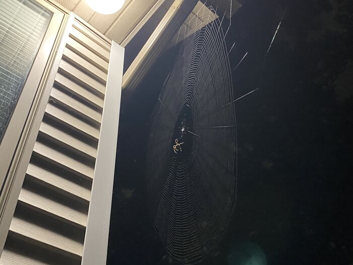 Amazing Web Designer At The Corner Of My House