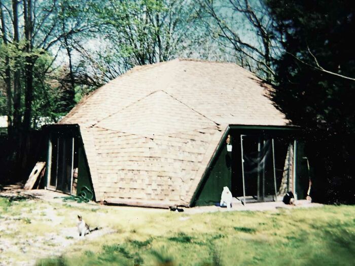 The Bucky Dome Reborn