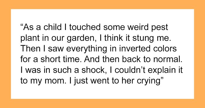 “He Never Came Back”: 40 Things People Know They Saw But Don’t Have Any Proof Of