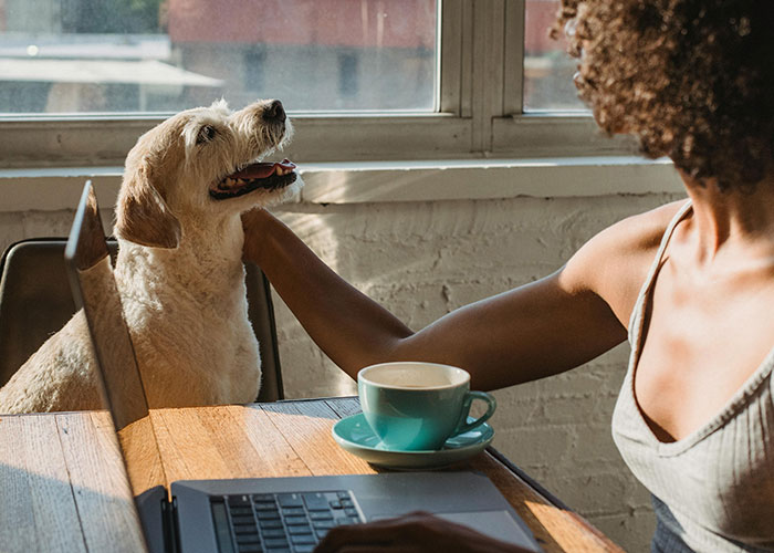 29 Women Who Live Alone Share What They Do To Be Safe