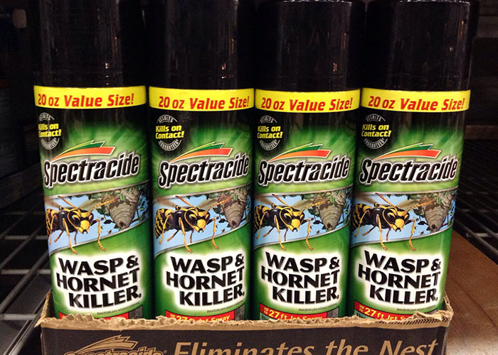 29 Women Who Live Alone Share What They Do To Be Safe