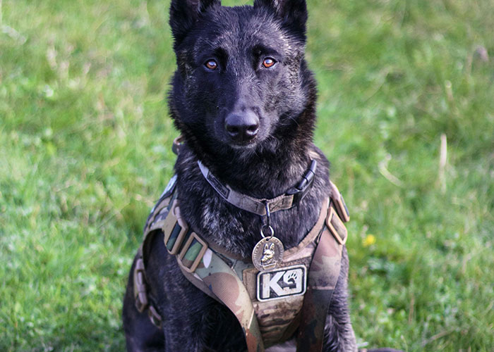 29 Women Who Live Alone Share What They Do To Be Safe