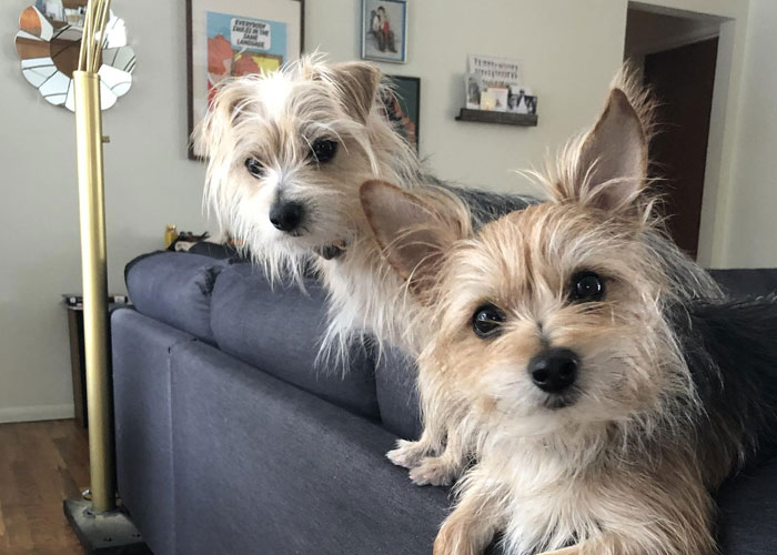 29 Women Who Live Alone Share What They Do To Be Safe