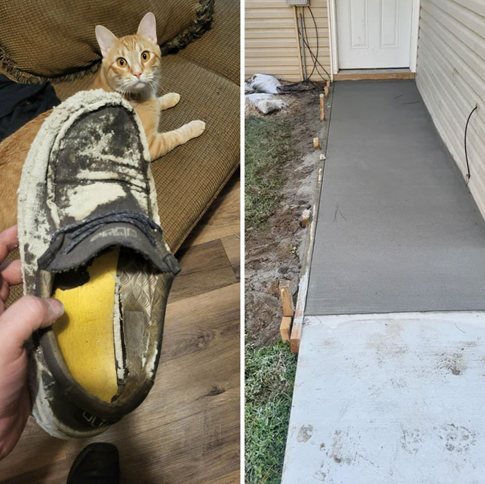 My Landlord Finally Decided To Pour The Concrete Yesterday... Without Notice Right Before I Go To Work