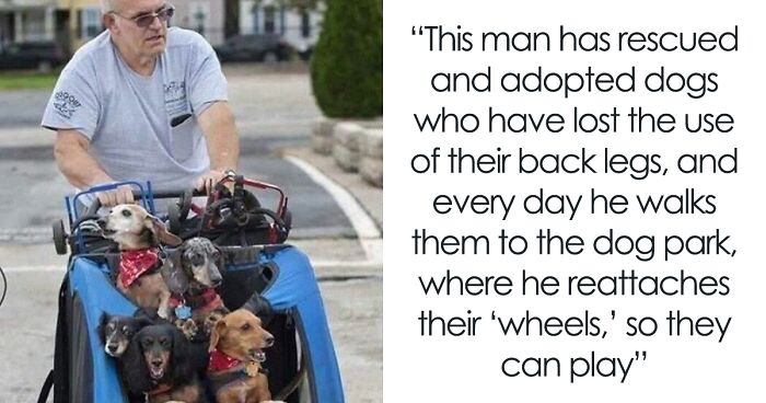 This Group Is Dedicated To Everything Weird, Bizarre, And Beautiful, Here Are 50 Of The Best Pics