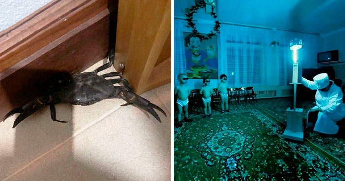 30 De las imágenes más «raras» del grupo online «Weird»