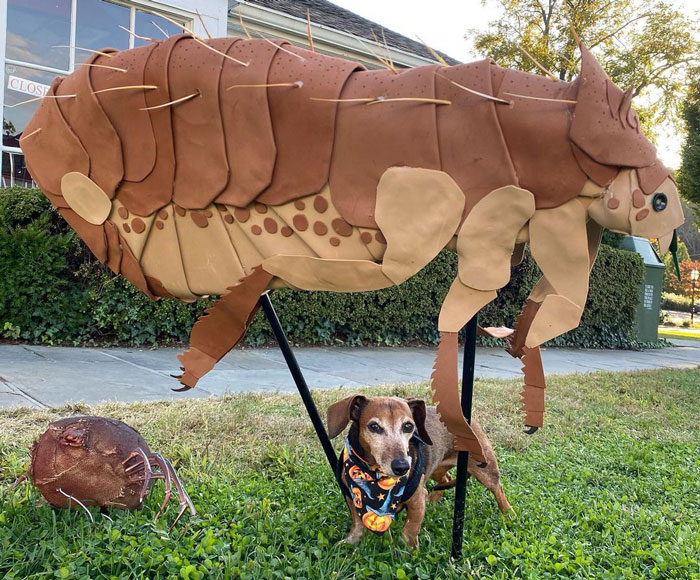 A dog standing beneath a large flea sculpture on grass, showcasing what flea bites look like on dogs.