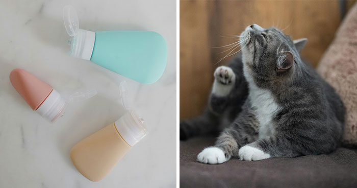 What Do Fleas Look Like on Cats? Explained by a Vet