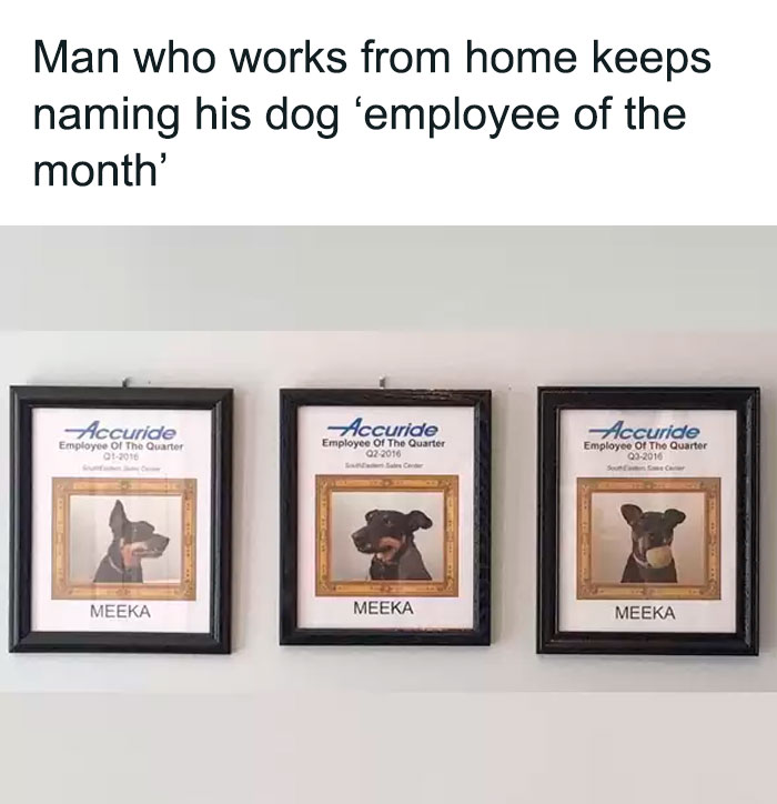 Wholesome-Content-Posts