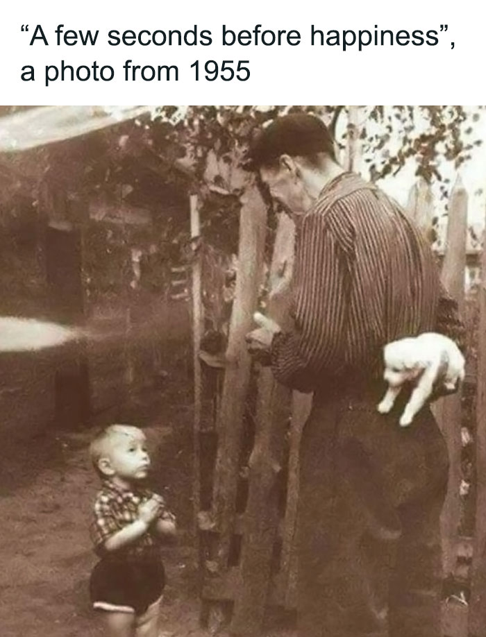 Wholesome-Content-Posts