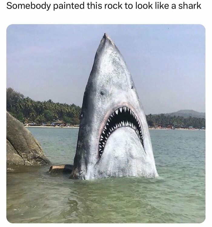 Wholesome-Content-Posts